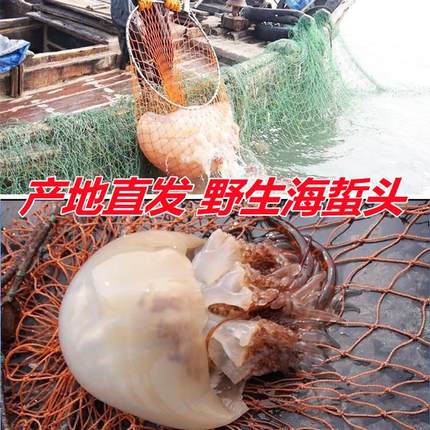 渤海野生特产海蜇头桶装商用5斤海蜇丝无沙海蜇皮非即食凉拌菜
