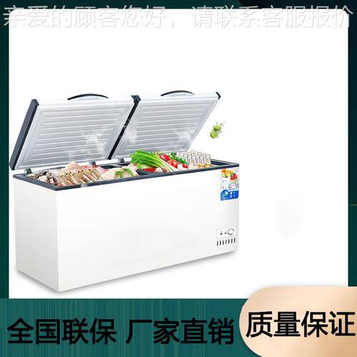 式冰987柜商双用大容量冰箱家用冷藏冷冻鲜保温转换展卧示柜