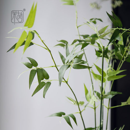 茉茵仿真绿植禅意感高级感竹子