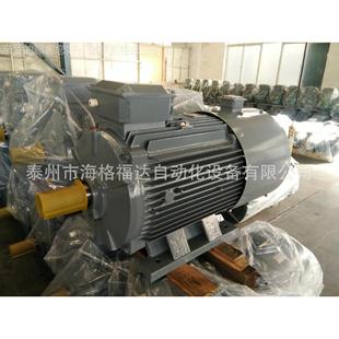 B35高效节Y2VP 江苏大S中变电机Y2VP 45W 225M频4P YTS能变频 YTP