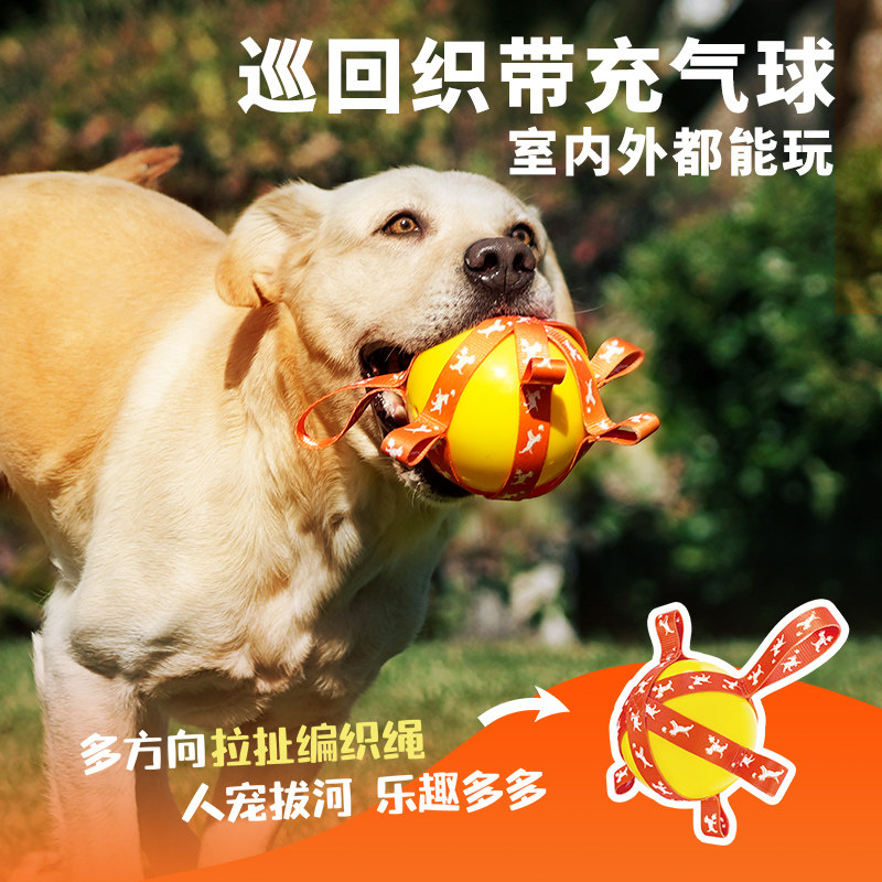狗狗玩具无声织带可充气球狗狗户外球球互动金毛小狗宠物运动训练
