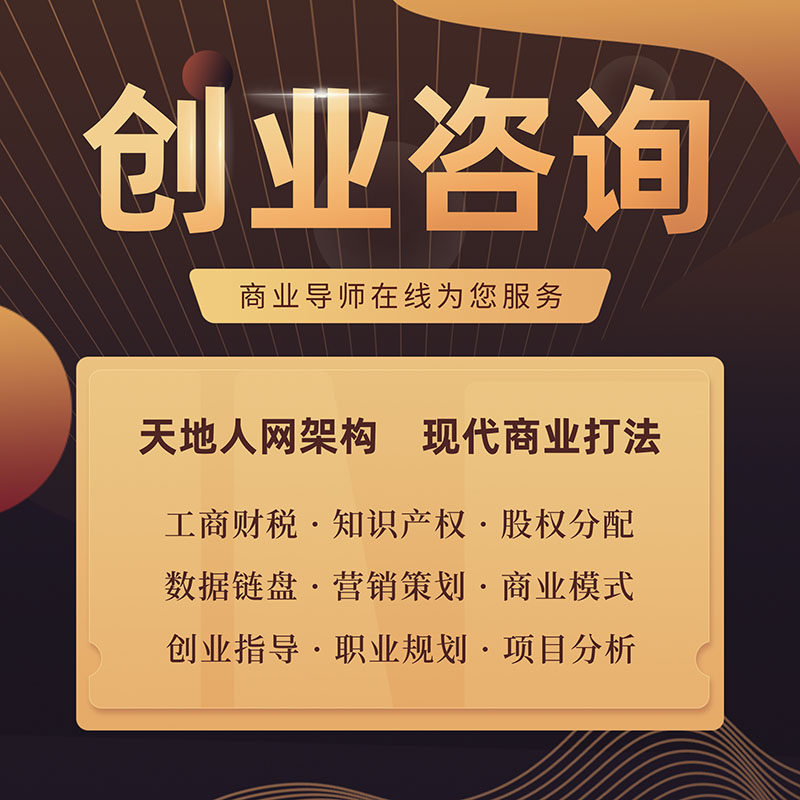 创业问题咨询商业模式设计公司经营项目指导分析企业营销策划方案