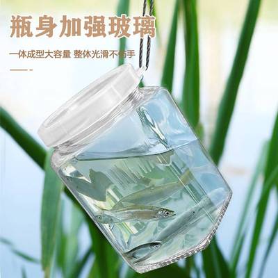 捕麦穗鱼鳑鲏虾工具抓小DXZYP-01鱼神器倒须璃瓶神器网虾笼玻捕鱼