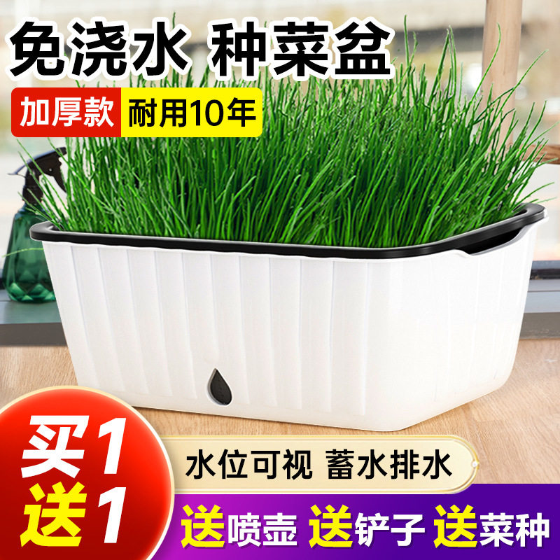 阳台种菜盆自吸水蔬菜种植箱懒人长方形种葱塑料花盆室内植绒其他