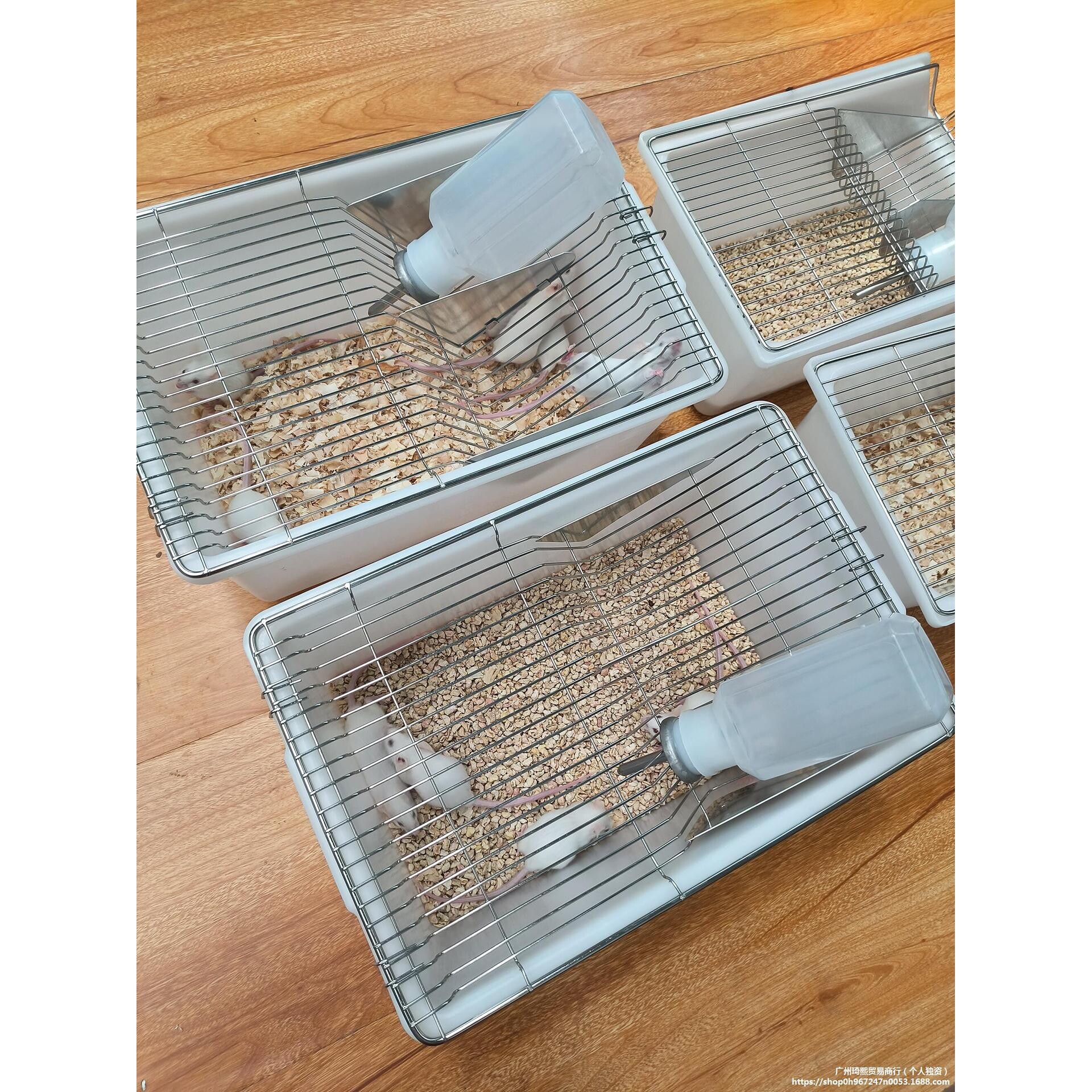 实验室鼠笼小鼠笼M1养殖笼鼠笼不锈钢c57km饲养笼繁殖笼子可开票