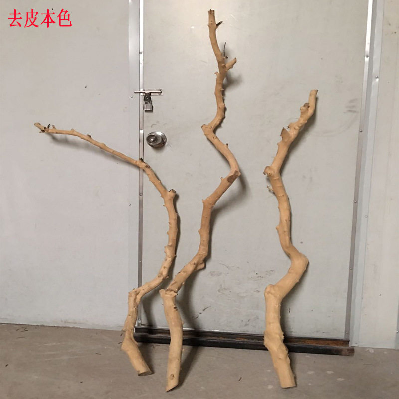 干树枝原木杈枯枝干枝枯木树干鸟架造型壁挂衣架吊顶树枝装饰摆件