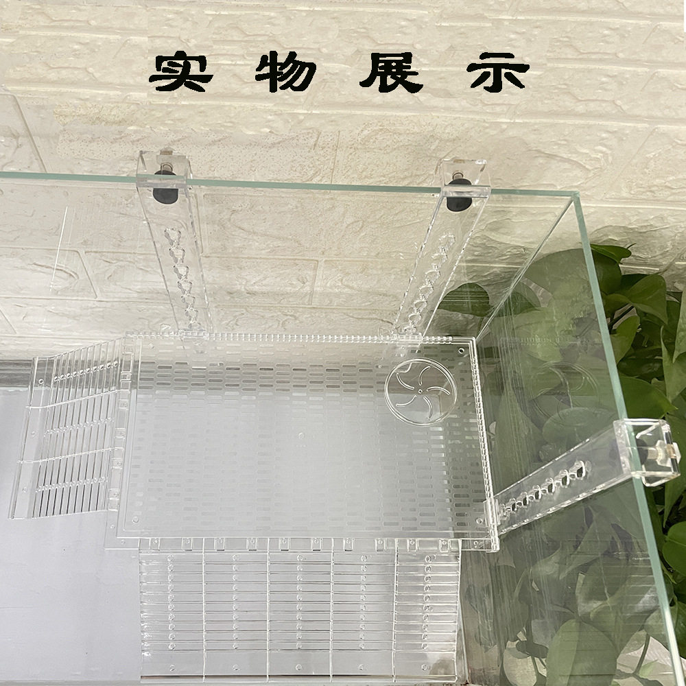 厂家直销 亚克力AS塑料壁挂式乌龟晒台宠物爬台深水鱼缸晒背台