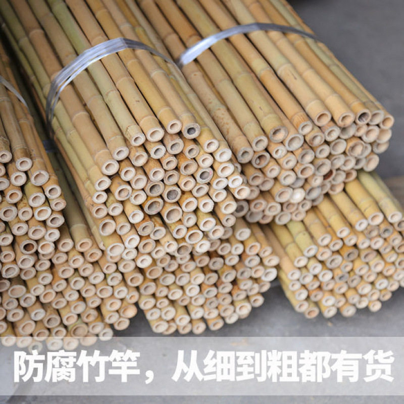装饰竹竿白竹杆吊顶竹子装修隔断2米3米4米长防腐毛竹楠竹干篱笆