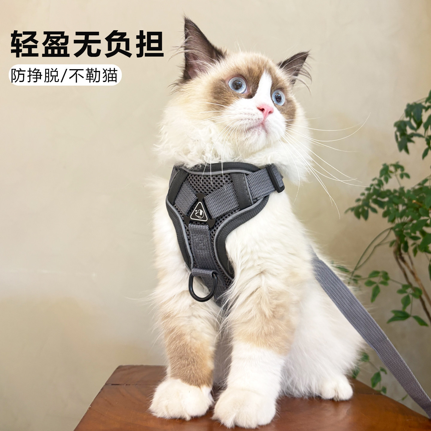猫咪牵引绳防挣脱外出专用溜猫绳宠物背带链子可调节网红遛猫神器