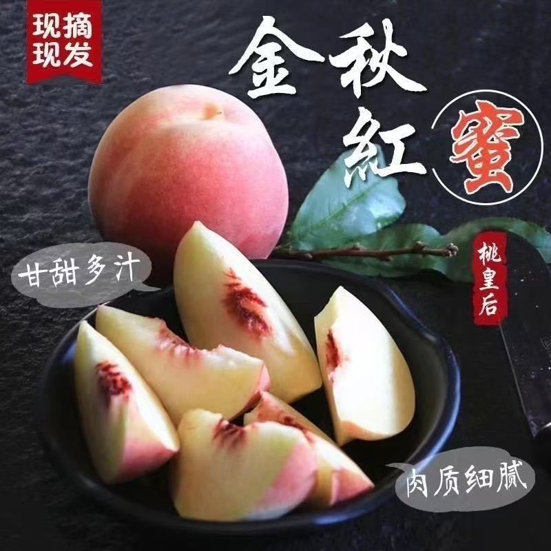 金秋红蜜桃山东蒙阴寒露蜜桃冬桃脆甜多汁毛桃子当季新鲜水果晚桃