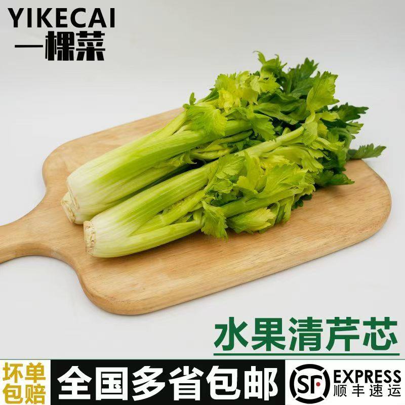 云南新鲜水果清芹芽可生吃的芹菜当季现摘新鲜网红菜鲜嫩榨汁蔬菜