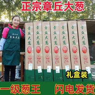 顺丰章丘大葱新鲜8斤正宗甜脆铁杆水果甜葱产地直销礼盒装