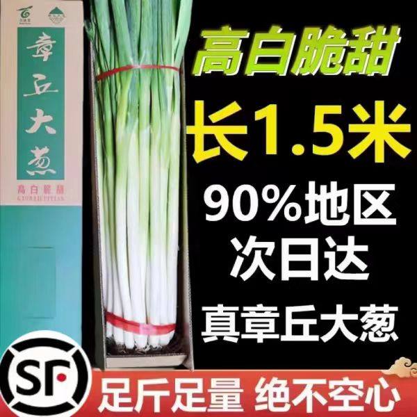 顺丰正宗山东济南章丘大葱王甜葱蘸酱5斤10斤特级脆甜蔬菜礼盒,水产肉类/新鲜蔬果/熟食,葱类,淘宝优惠券,粉丝福利购,淘宝优惠卷