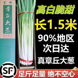 顺丰正宗山东济南章丘大葱王甜葱蘸酱5斤10斤特级脆甜蔬菜礼盒