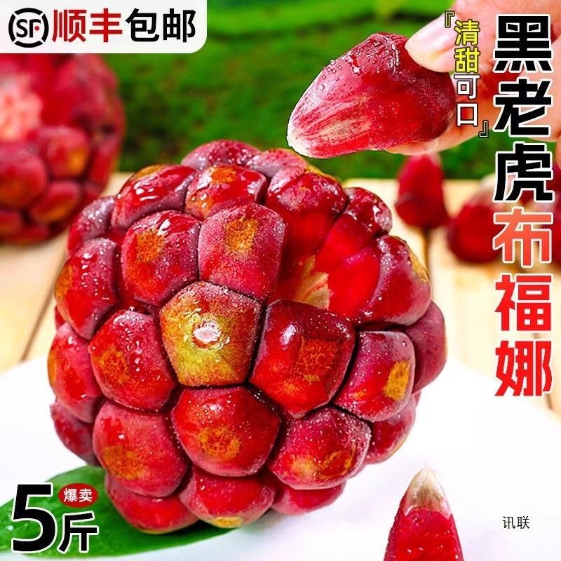 现货速发黑老虎布福娜果恶魔果实新鲜希奇古怪的水果少见希有当季