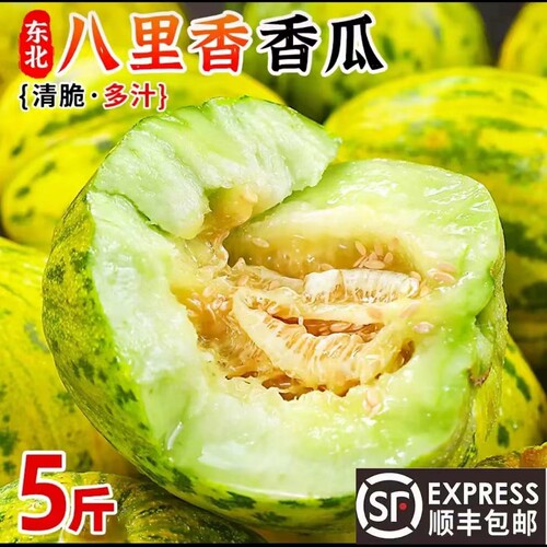 东北香瓜花姑娘八里香香瓜现摘现发大地香瓜白糖罐黑龙江特产