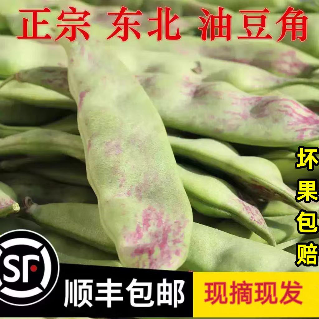 东北油豆角一点红当季蔬菜顺丰图片