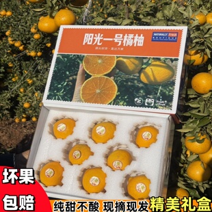 纯甜桔柚阳光一号云南甜橘柚现摘新鲜老树柚高山甜心柚手剥柚礼盒