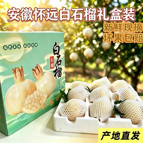 正宗安徽怀远白石榴现摘花