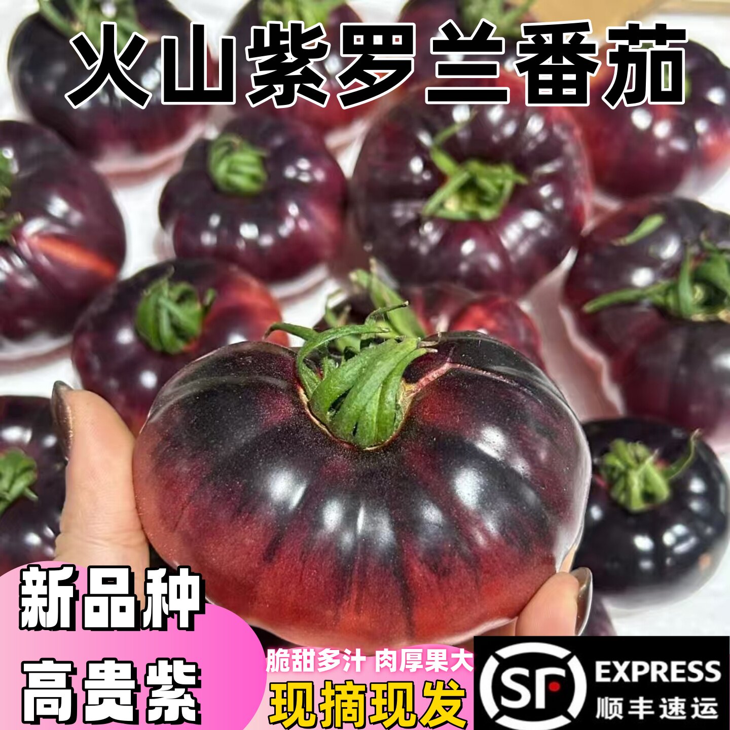 顺丰紫罗兰番茄新鲜现摘丑番茄图片