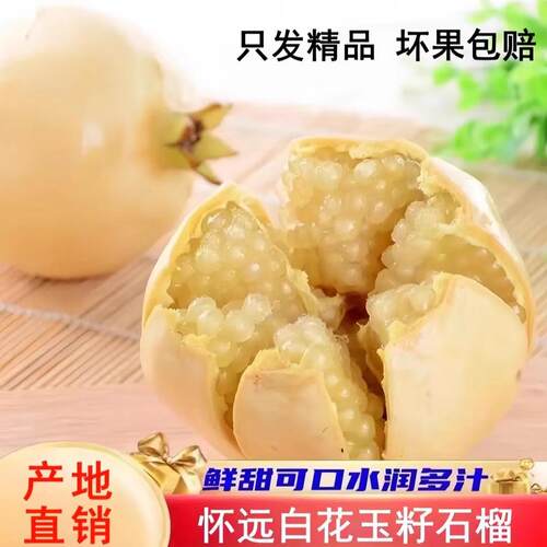 水果现摘现发正宗怀远石榴