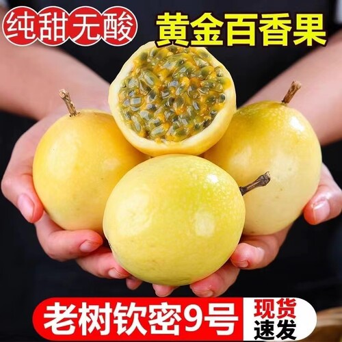 云南黄金百香果钦蜜9号黄金黄皮