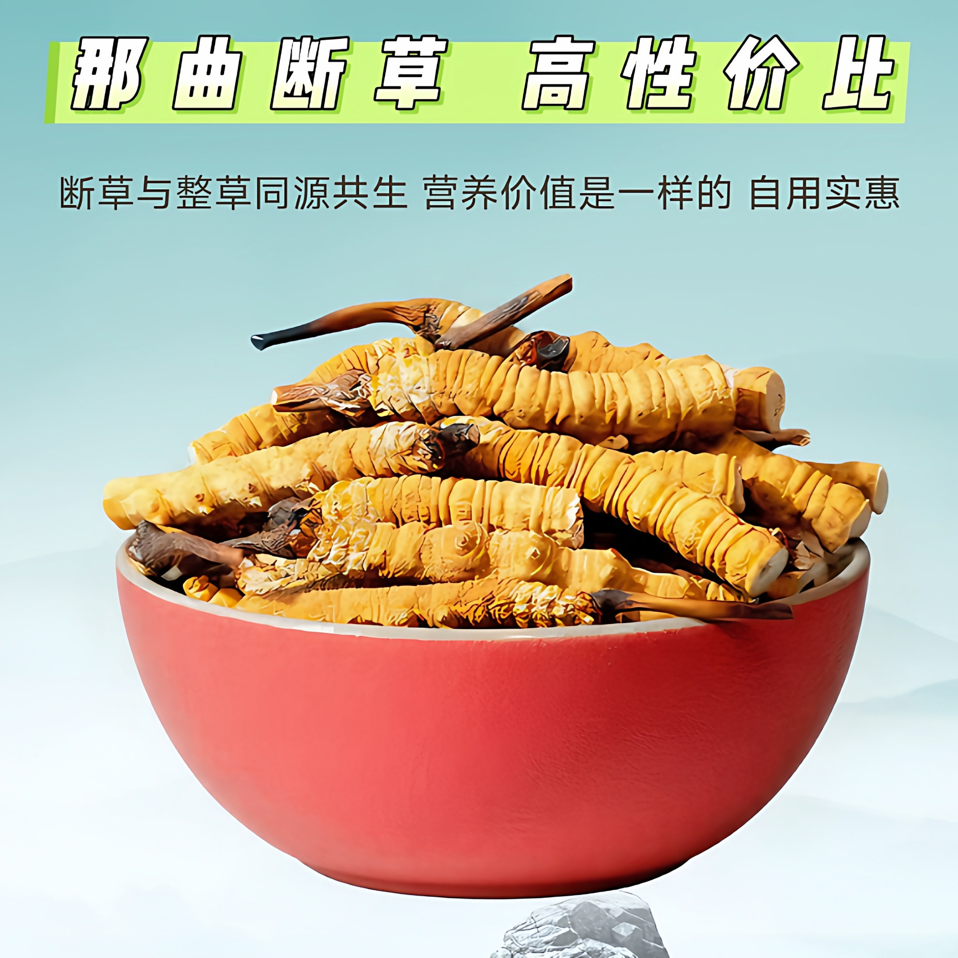 西藏虫草断草冬虫夏草官方旗舰店正品特惠干草大断草纯肉节自己吃