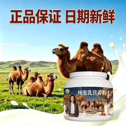 纯驼乳粉囤货家庭装零蔗糖高蛋白驼奶冲调粉直供100%正宗专用