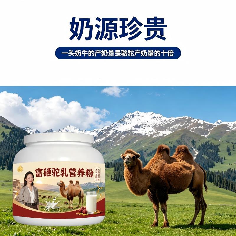 富硒驼乳粉睡前一杯多维骨骼驼奶冲调粉直供100%正宗专用