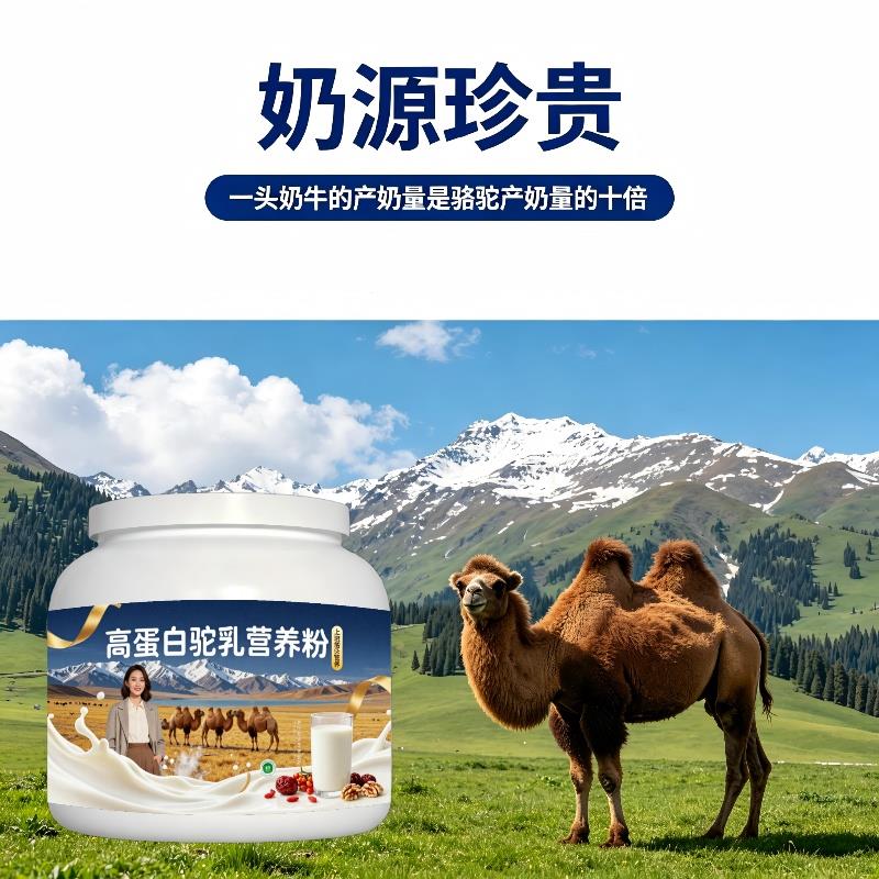 上班族高蛋白驼乳粉早餐冲饮高钙高蛋白驼乳粉散养官方认证初乳
