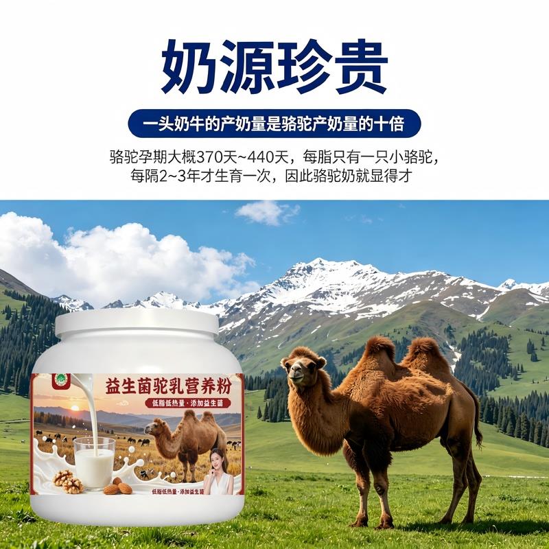 日常饮食人群益生菌驼乳粉轻食餐食搭配高蛋白多维驼奶粉沙漠正品
