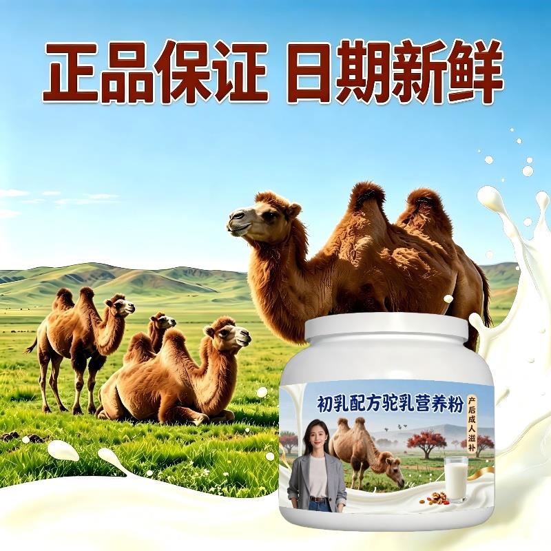 初乳驼乳粉调养零蔗糖护肠胃驼奶冲调粉沙漠正品专用