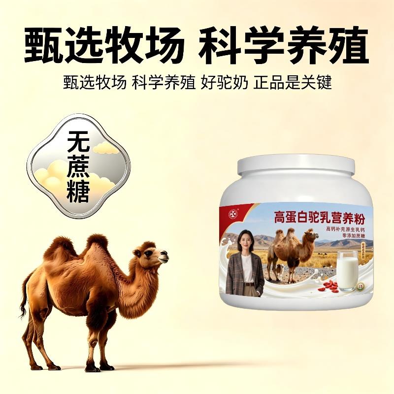 健身高蛋白驼乳粉健身加餐益生菌护肠胃驼奶冲调粉直供官方专用