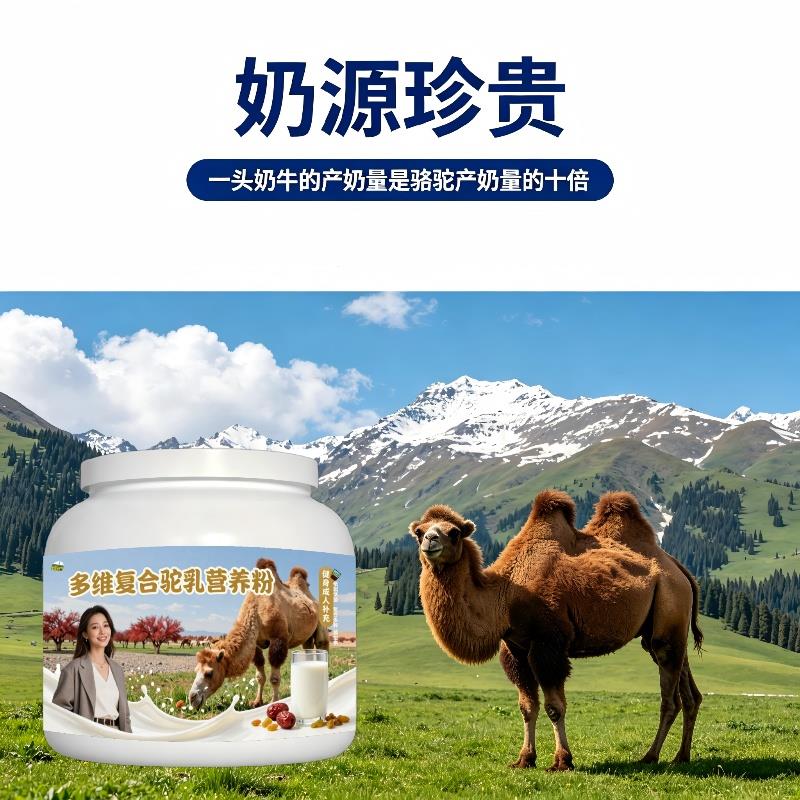 健身多维驼乳粉健身加餐高蛋白补钙驼奶冲调粉厂家直销100%正