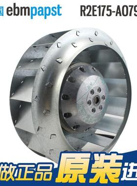 -德国R进口ebmp1apst 2E75-AO7914 115V 75W 全金属涡轮离心B03-H
