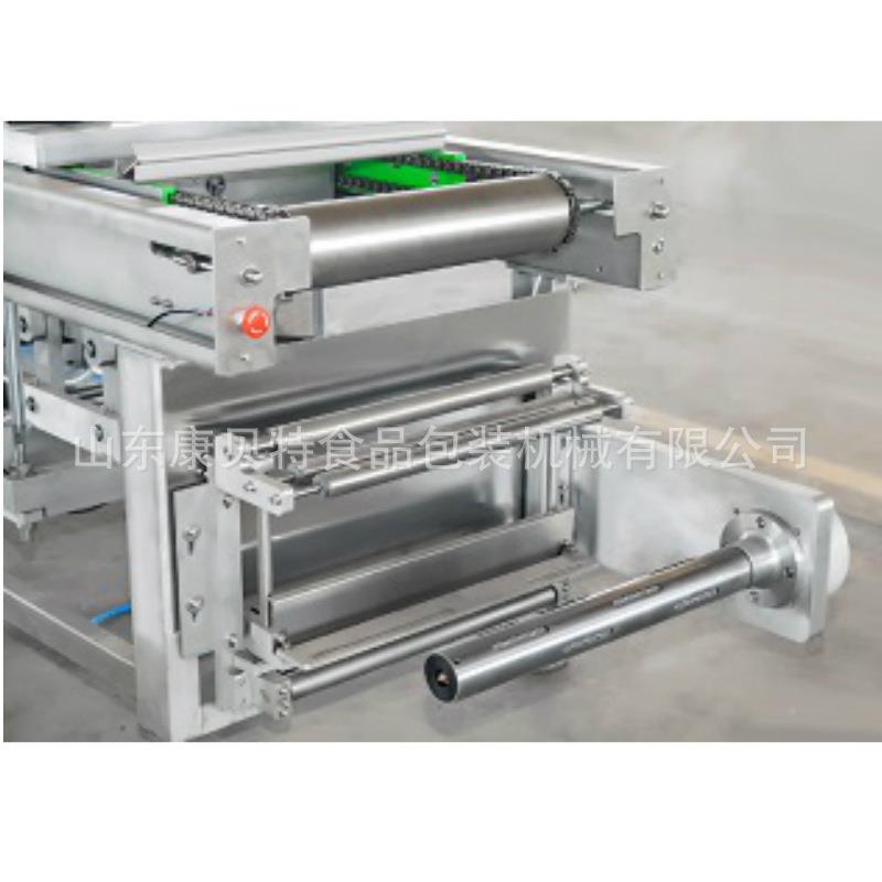 厂家造装全自机动真空制包DRZ-420装 价格低连续式真空包机