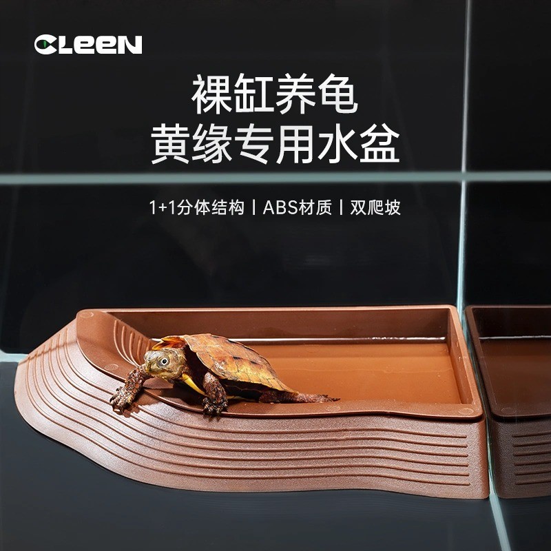 其鳞黄缘龟水盆食盆两件式半水龟乌龟喝水洗澡爬宠饲养箱造景
