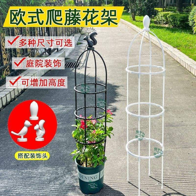 新花架爬藤架子花支架花盆植物攀爬支架室内山乌龟支安