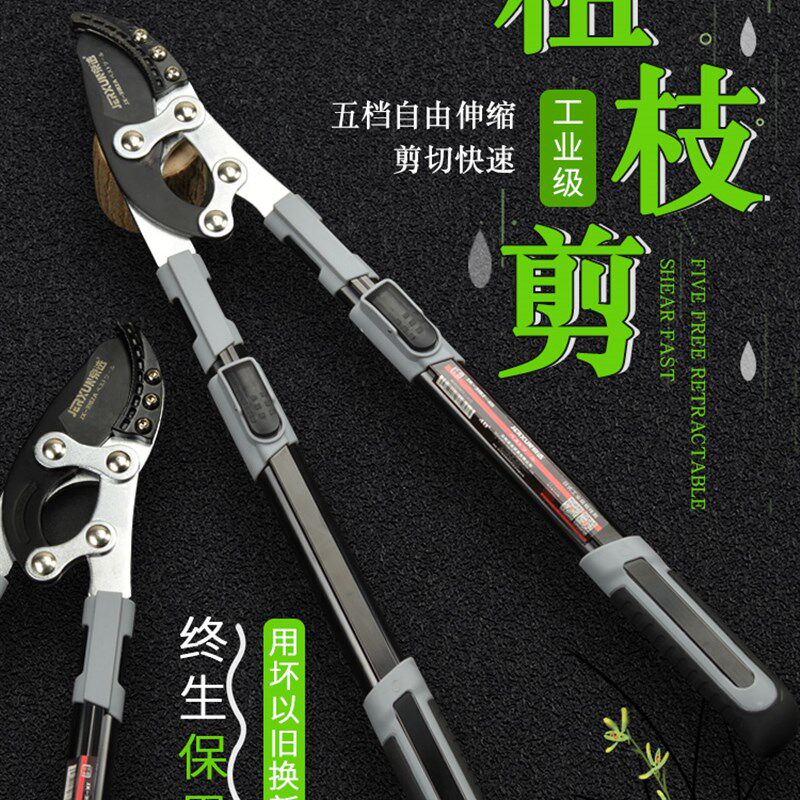 京选伸缩粗枝剪修枝剪树枝园林剪刀果树修剪省力高枝高空剪枝剪刀