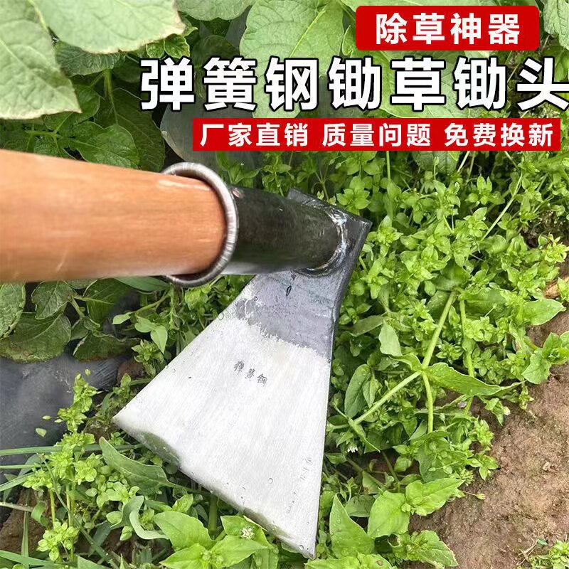 小锄头锄头挖笋种菜农用撅头神器刨锄多功能锰钢拔草工具松土地笋