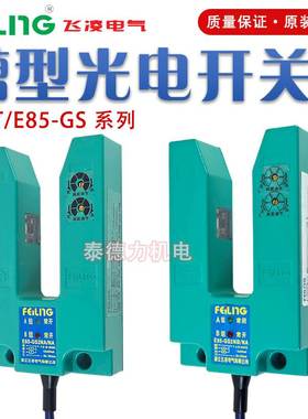 飞凌电气 E85/E73T-GS3NA/NB/A/2槽型光电开关GS2PA传感器U型四线