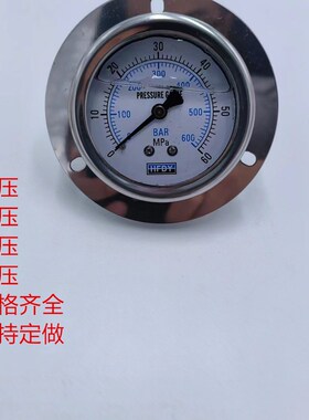 HFDY轴向带边耐震抗振真空压力表YN60ZT 40MPA/250BAR/1/4PT