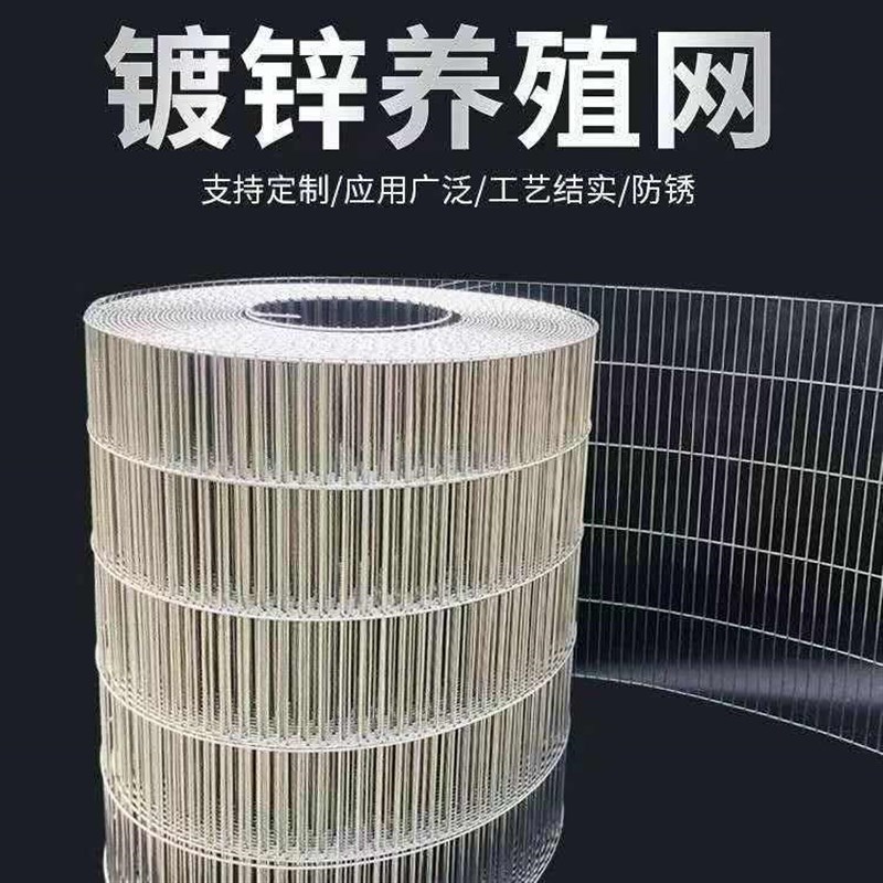 热销镀锌铁丝网围栏防护网养殖鸡鸽舍围网兔笼材料鸟笼网片阳台钢