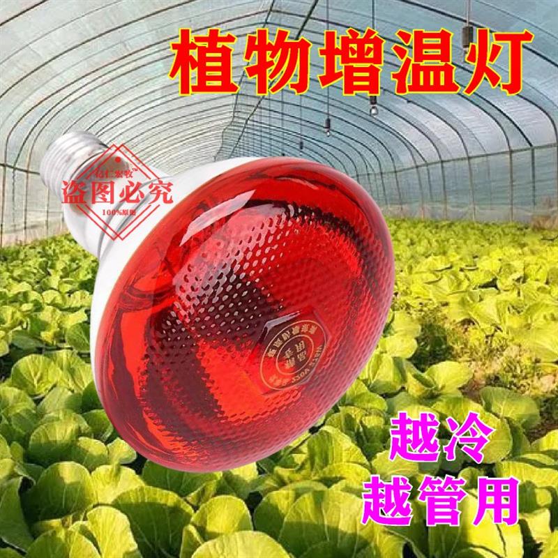 热销保温灯取暖保暖灯加热大棚增温植物补光温室蔬菜草莓花卉仿太