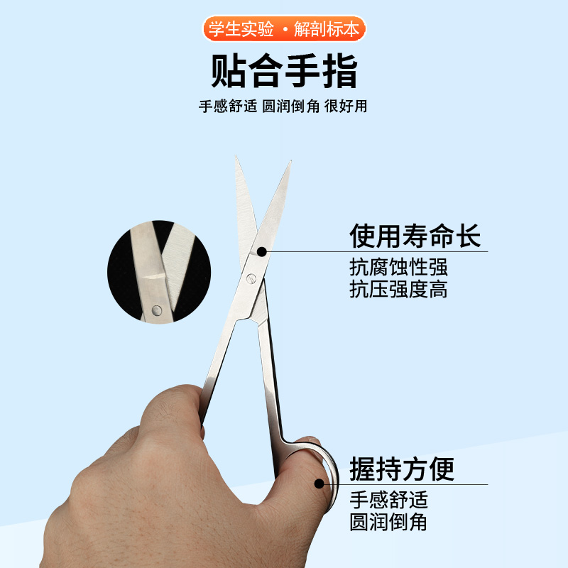 热销生物解剖器7件套七件套4件套四件套不锈钢昆虫解剖针剪解剖探