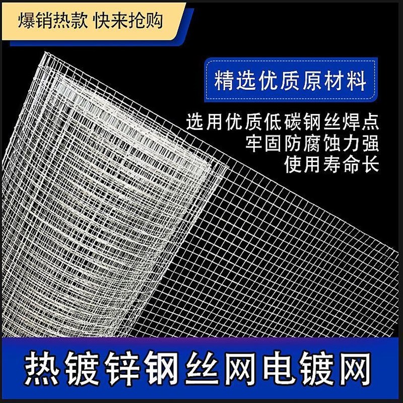 热销热镀锌铁丝网围栏养殖护栏网养鸡防鼠钢丝网加粗电焊网抹灰网