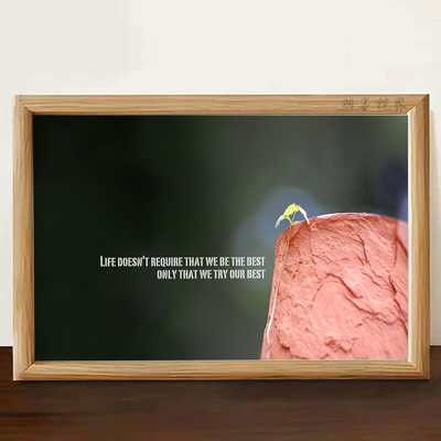 Lifedoesn'trequire英文相框