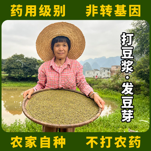 2025年新货农家老品种有机绿豆非转基因打豆浆专一级发豆芽新鲜