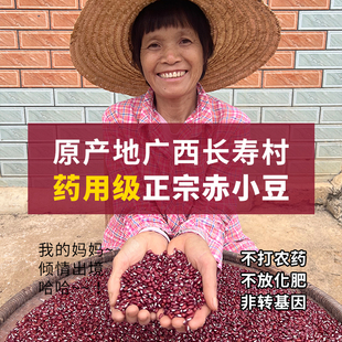 2025年新赤小豆农家自种老品种有机红豆打豆浆专用非转基因中药材