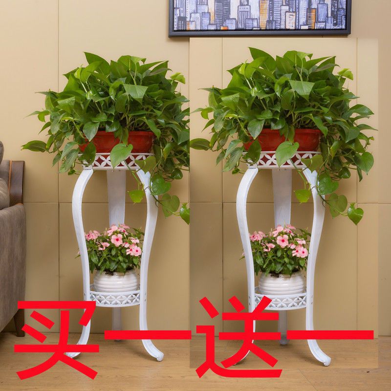 欧式花架铁艺多层室内落地式绿萝花架子客厅置物阳台多肉家赵之郑